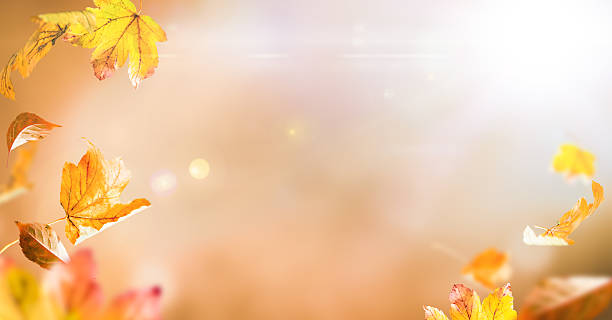 istock Falling Autumn Leaves with Golden Sunlight and Soft Bokeh Background 2234379455