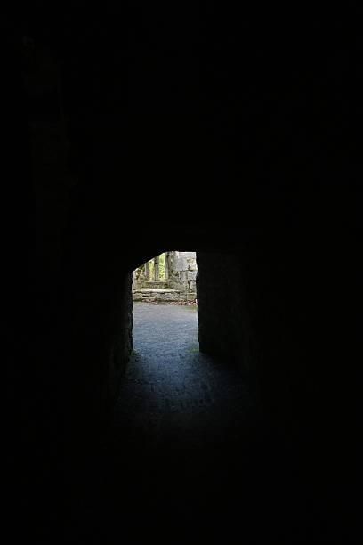 A Brief Glimpse Through a Shadowy Passageway Leading to a Beautiful and Enchanting Light