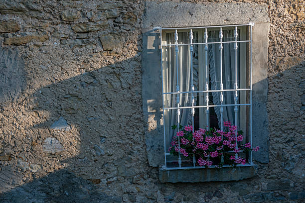 A quaint window with decorative bars and potted flowers, featuring lace curtains in a rustic setting.