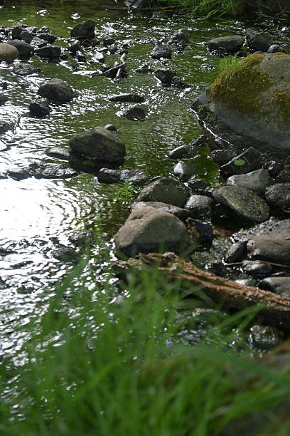 istock A Serene Stream Beautifully Reflecting Natures Breathtaking Beauty in All Its Glory 2234383369