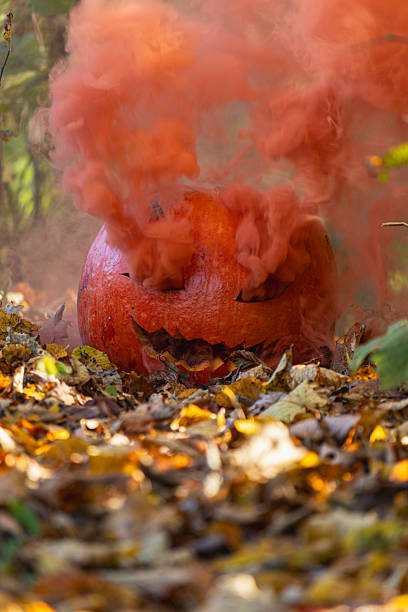 istock Pumpkin with smoke in a forest during autumn celebration 2234383770