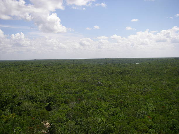 istock Vast Green Jungle Canopy and Sky with Distant Ancient Ruins 2234389981