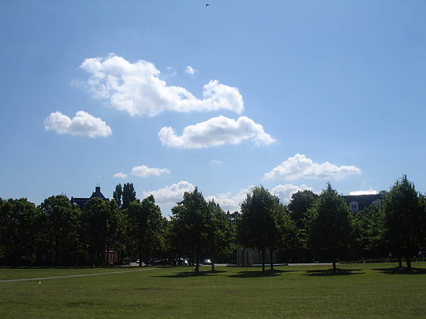 istock Sunny Park with Green Trees, Blue Sky, and White Clouds 2234389998
