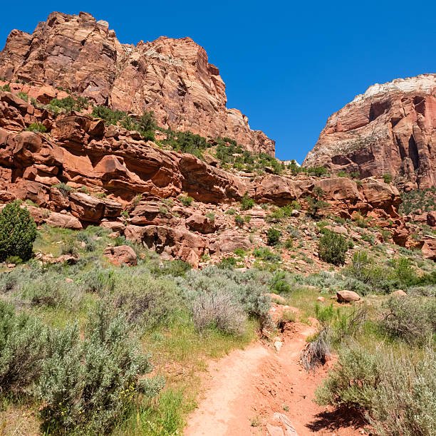 istock Zion National Park 2234393306