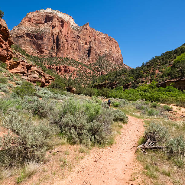 istock Zion National Park 2234393324