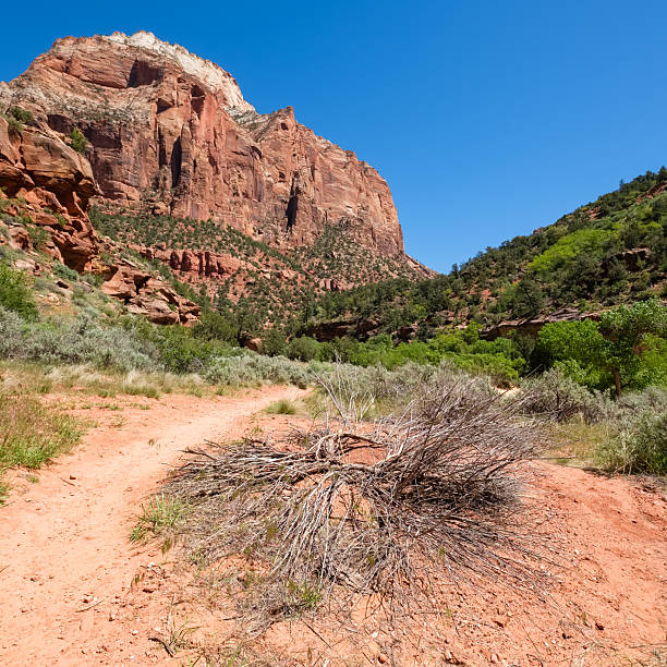 istock Zion National Park 2234393336