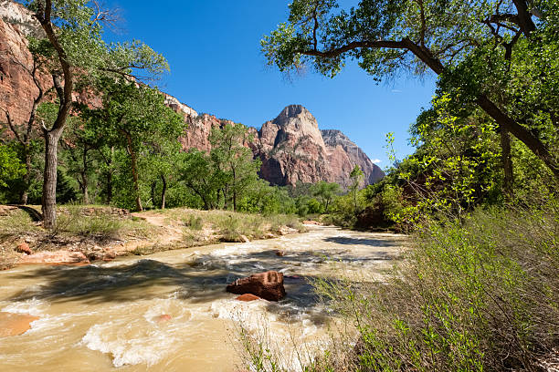 Zion National Park in Utah during the morning hours in July of 2024.