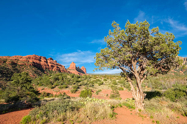 Beautiful landscape of Sedona in Arizona