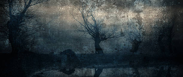 istock Spooky dark art grunge landscape showing autumn forest 2234394411