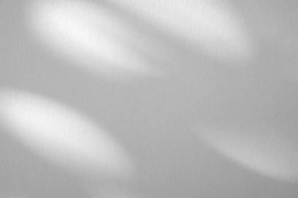 istock Abstract natural tree branch leaves shadow on white wall background 2234398580