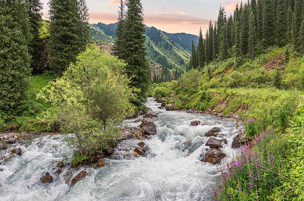 istock Mountain river flowing gracefully through a lush green valley, surrounded by coniferous forests, illuminated by a stunning sunset 2234398917