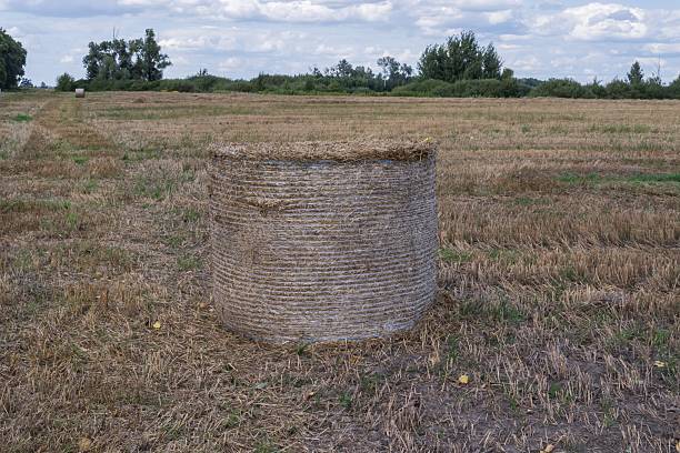 Scenic rural farmland with golden straw bales and blue sky. Agriculture landscape with hay rolls symbolizing harvest and countryside farming.