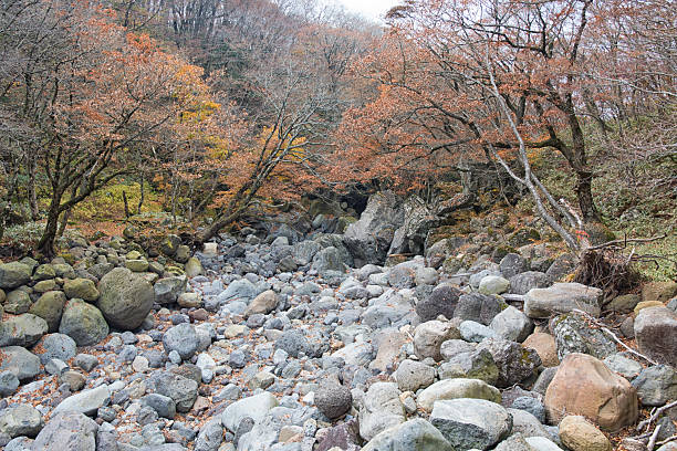 Eorimok Creek, Eorimok Hiking Trail Hallasan Mountain, Jeju Island 제주도 한라산 어리목