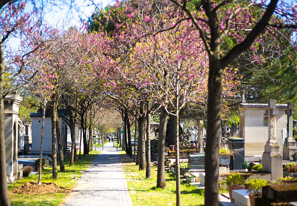 Paris, France: Montparnasse Cemetery in  Springtime