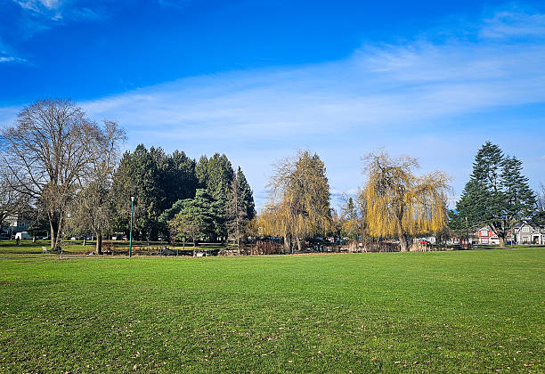 istock Beautiful green park with tall trees 2234413065