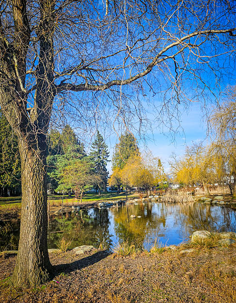 istock Beautiful pond with a blue sky 2234413070