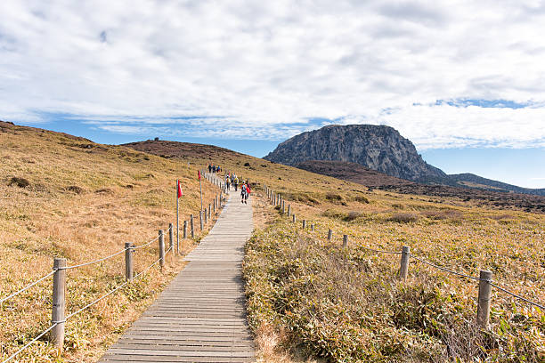 Youngsil Hiking Trail Hallasan Mountain, Jeju Island 제주도 한라산 영실 윗세오름
