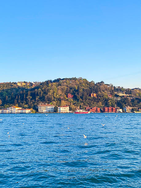istock Cruise in Istanbul 2234420179