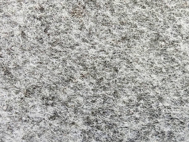 istock Grey abstract fibrous background, texture of felt fabric. 2234424160
