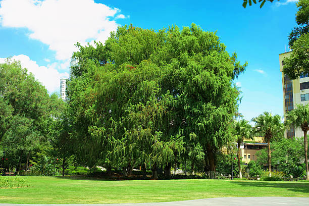istock The charm of nature 2234424834