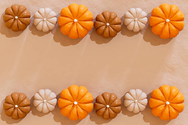 Pumpkins in a row on pink background