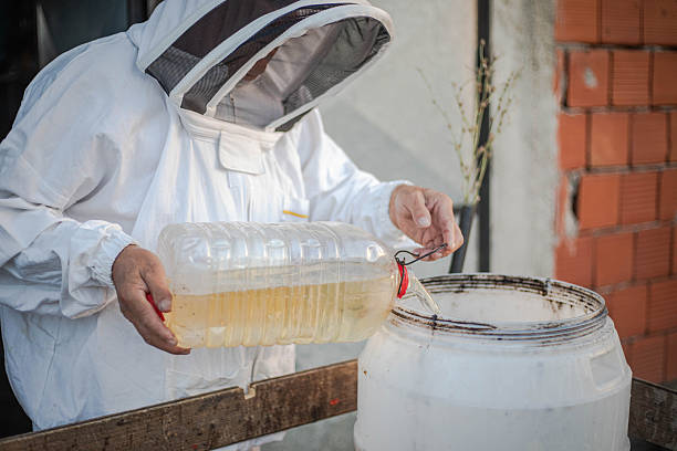 istock Beekeeper pours syrup to feed bees, bad year, saves bees 2234428806