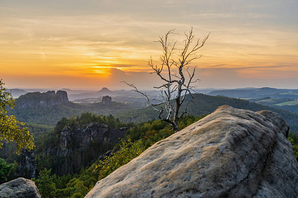 istock Dramatic sunset in Saxon Switzerland National Park, Germany. Twisted birch tree on rocky cliff in foreground. Stunning mountain view, scenic light, natural landscape. 2234430869