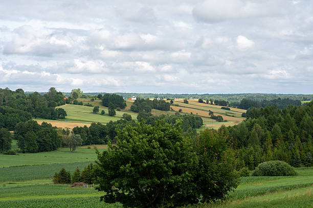 istock view from the hill, clouds, forest, landscape 2234433919