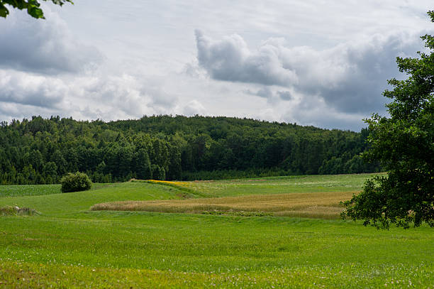 istock view from the hill, clouds, forest, landscape 2234433924