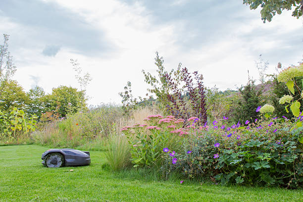 istock Garden: Flower bed and lawn with robotic lawn mower 2234436520