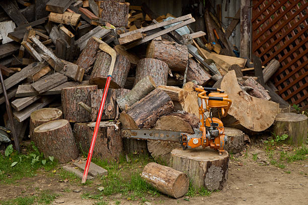 Detail of Chainsaw with wood background