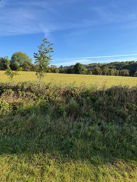 istock Across the Fields on a September Morning 2234446681