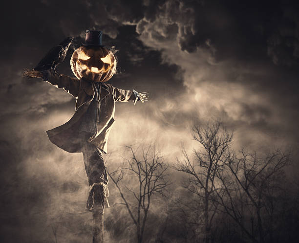 Creepy Halloween scarecrow with pumpkin head and a crow on the shoulder in the fields at night, horror and fantasy concept