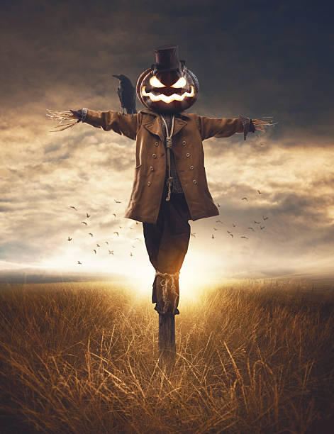 Spooky Halloween scarecrow with pumpkin head in the fields at sunset, horror and fantasy concept