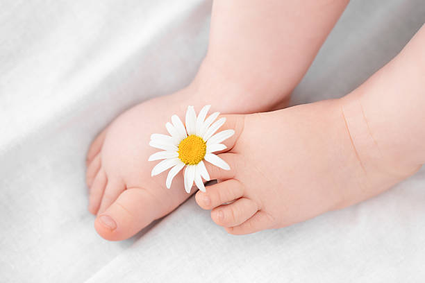 istock baby feet with chamomile 2234452031