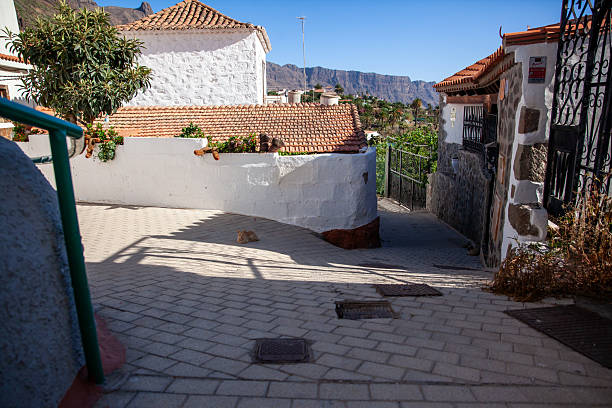 Narrow pedestrian street in Fataga with whitewashed houses, red roofs, and a cat lying on the pavement.