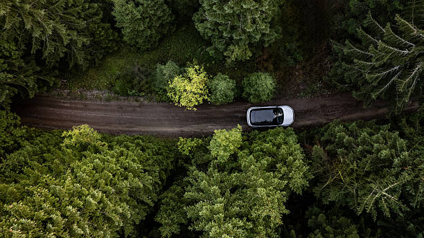 istock White suv driving on dirt road through lush green forest 2234453918