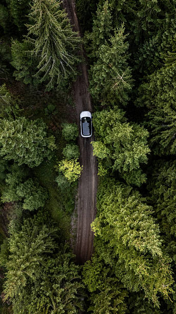 istock White suv driving on dirt road through lush green forest 2234453920