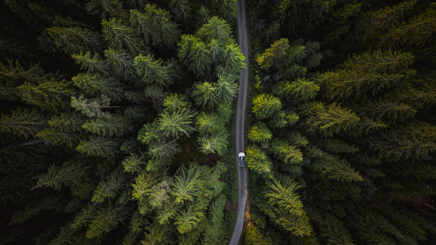 istock White car driving on winding road through lush green forest 2234453922