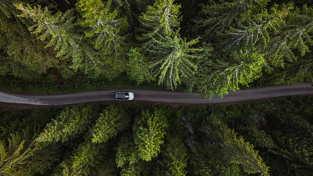istock White car driving on a winding road through a lush green forest 2234453929
