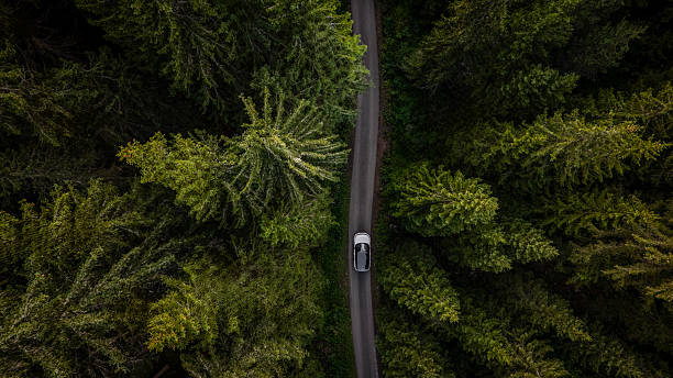 istock White car driving on a road through a lush green forest 2234453931