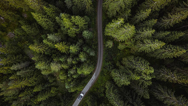istock White car driving on winding road through lush green forest 2234453932