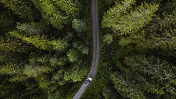 istock White car driving on winding road through lush green forest 2234453935