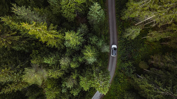istock White car driving on winding road through lush green forest 2234453939