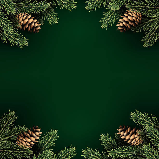 istock Christmas and New Year background with fir trees. 2234462595