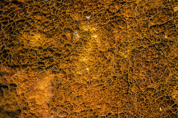 istock Close Up Abstract Microbial Mat Texture Yellowstone National Park 2234464910