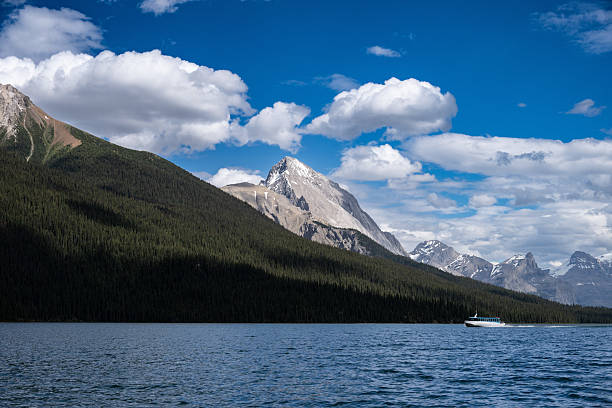 A stunning view of a turquoise lake surrounded by evergreen forest and snow-capped mountains, with pine branches in the foreground. Captured in Jasper National Park, Alberta, this landscape is ideal for travel marketing, nature publications, and outdoor adventure visuals.