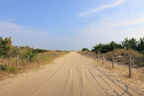 The sandy road out to the drive-on beach, with sand dunes on either side
