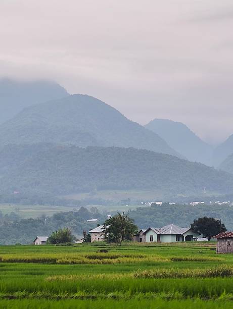 istock Vast and fertile rice fields. 2234470942