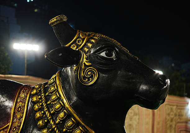 istock Ornamental Black Bull Head Statue with Golden Decorations 2234473000